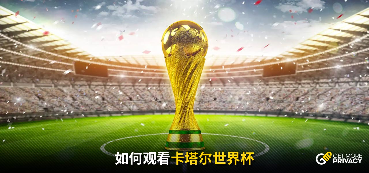 作为代表国